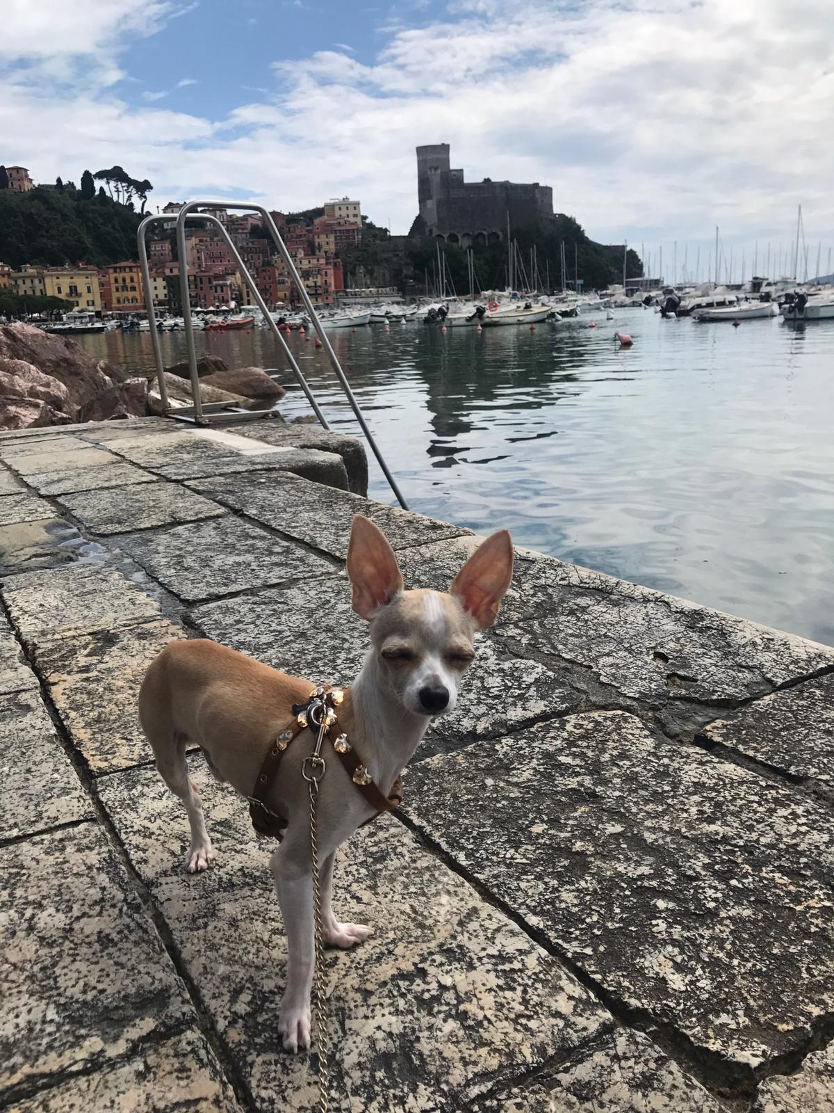 Bracciale Personalizzabile con figura del Cane